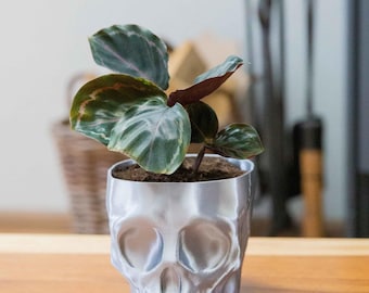 Halloween Skeleton Skull Planter - Spooky home decor - Drainage Optional