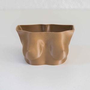 Boob Planter Female Torso - Nude B Cup Plant Pot - Etsy