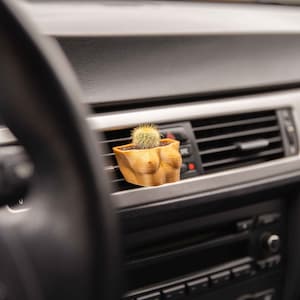 Puede incluir: Un pequeño cactus en una maceta de color dorado, impresa en 3D con forma de busto. La maceta está colocada en la rejilla de ventilación del salpicadero de un coche.