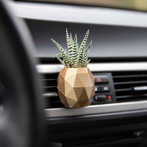 Cardening Car Planter - Cozy Boho Car Accessory for Women Natural Air Freshener Benefits - Perfect Gift for Vanlife or RV lovers - Hecate