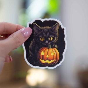 Halloween Cat with a Pumpkin Sticker - 3x3 Inch // Waterproof & Durable Vinyl Sticker // Useable as Laptop, Bumper Sticker and more!