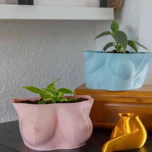 Boob Planter Weiblicher Torso - Nude C-Cup Blumentopf