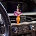 Car Vent Flower Vase Accessory - Cozy Gift for Vanlife or RV lovers - Phanes product logo