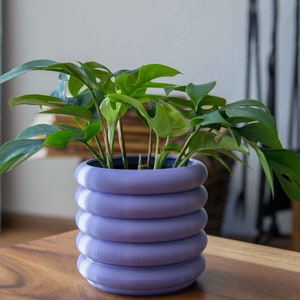 Coiled Planter in vielen Farbvarianten / Drainage & Tablett verfügbar / Perfekte persönliche Geschenk-Wohnkultur / Passt für Sukkulenten, Pflanzen und mehr Bild 9