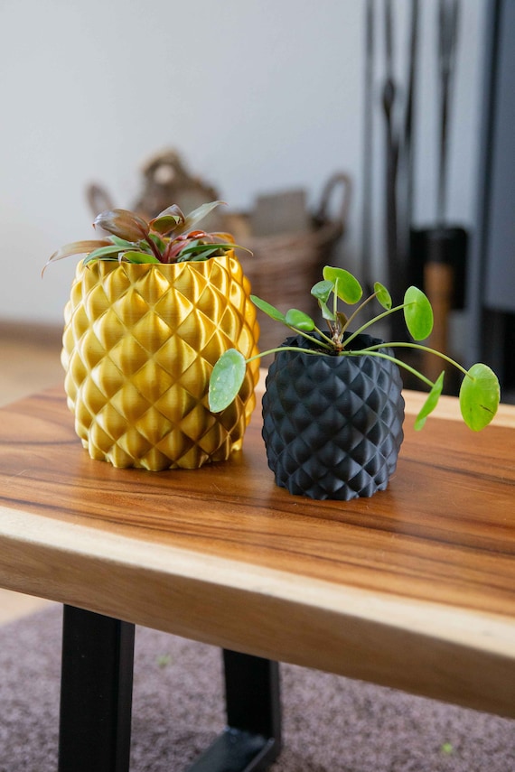 Ananas-Blumentopf - Modernes Wohndesign - Drainage optional - Etsy  sterreich
