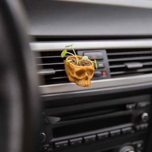 Cardening Car Planter - Cozy Boho Car Accessory for Women Natural Air Freshener Benefits - Perfect Gift for Vanlife or RV lovers - The Skull