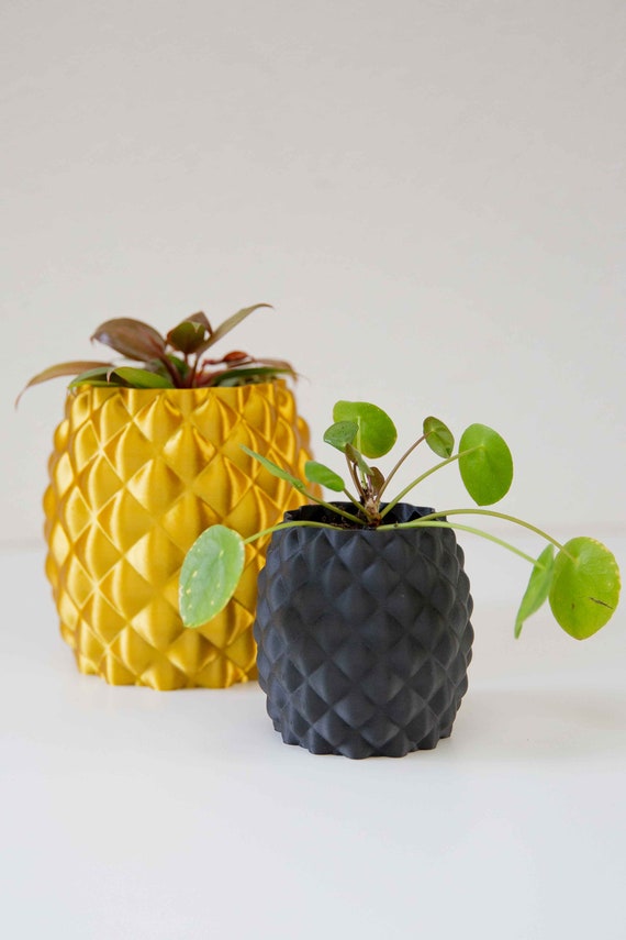 Pineapple Planter - Modern Home Design - Drainage Optional - Etsy
