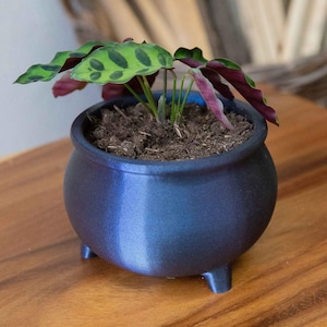 Maceta con forma de caldero de bruja para Halloween - Decoración espeluznante para el hogar - Drenaje opcional
