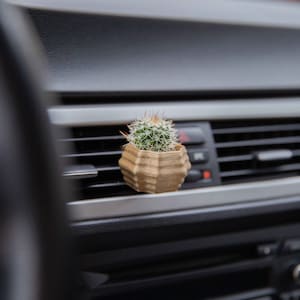 Może przedstawiać: Mały kaktus w złotej, geometrycznej doniczce, umieszczony w kratce wentylacyjnej deski rozdzielczej samochodu.