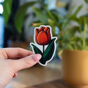 Tulpen-Aufkleber - 5 x 7,5 cm // Wasserfester & langlebiger Vinyl-Aufkleber // Als Laptop-, Autoaufkleber und mehr geeignet!
