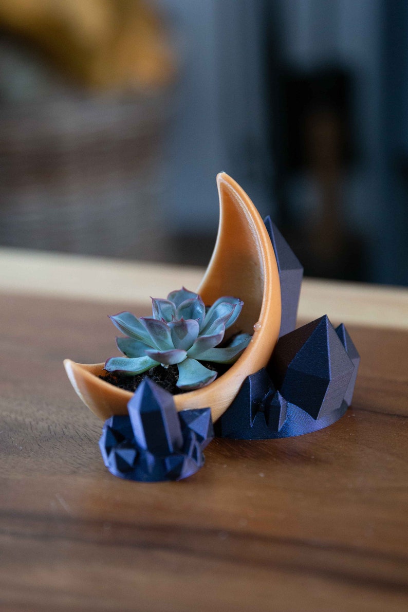 Moonstone Succulent Planter Moon Pot / Galaxy Art Holder / | Etsy