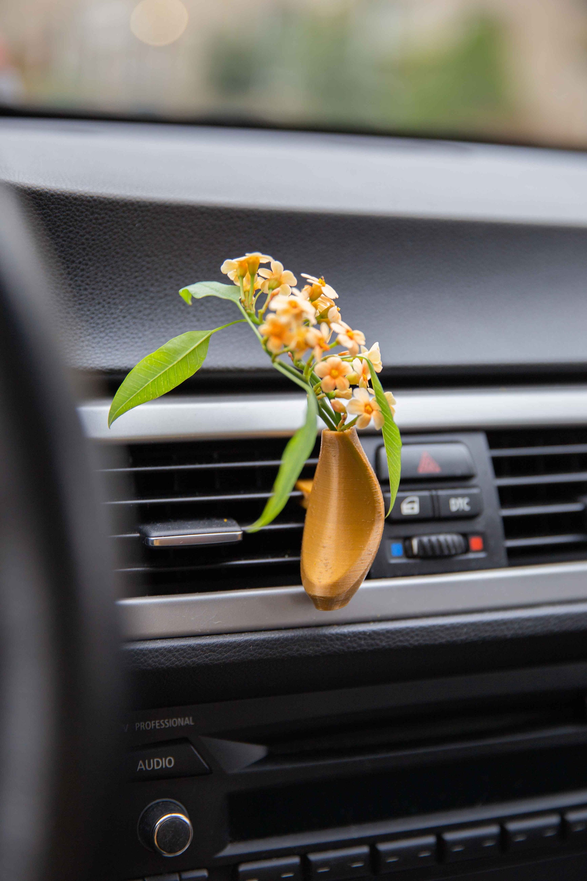 Cardening Car Vase Gemütliches Boho Auto Accessoire für Frauen Natürlicher  Lufterfrischer Vorteile Perfektes Geschenk für Vanlife oder RV-Liebhaber  Anytus - .de