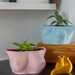 Boob planter -all cup sizes! / Cup C / tittie pot / nude boobies female torso planter / perfect gift home decor / breast cancer awareness 