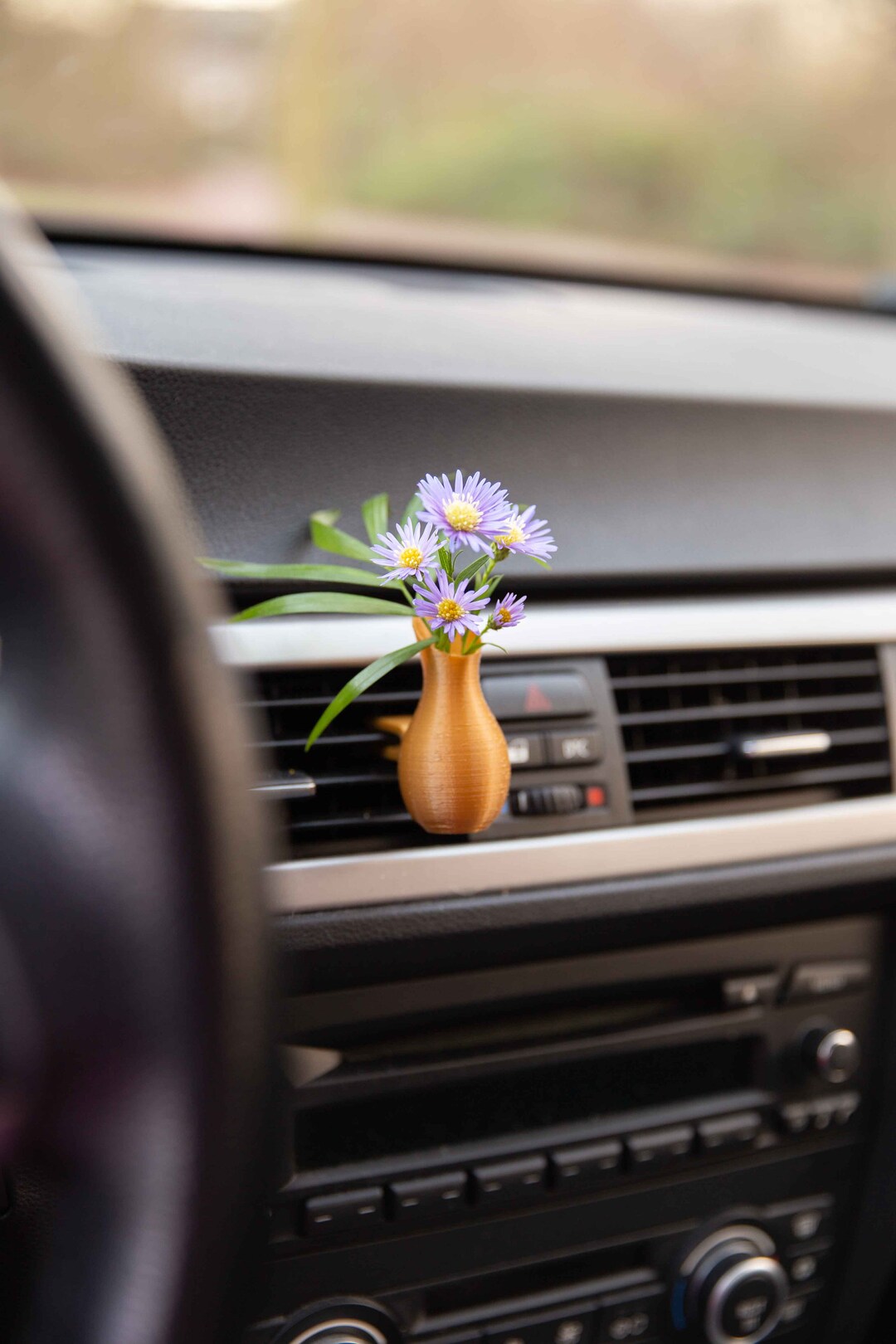 Cardening Car Vase Cozy Boho Car Accessory for Women Natural Air Freshener Benefits Perfect Gift