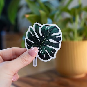 Pegatina de hoja de Monstera Deliciosa - 3 x 3 pulgadas // Pegatina de vinilo resistente al agua y duradera // ¡Se puede usar como pegatina para computadora portátil, parachoques y más!