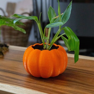 Halloween Pumpkin Planter - Spooky home decor / perfect unique gift / Festive piece/ seasonal item/ bio based