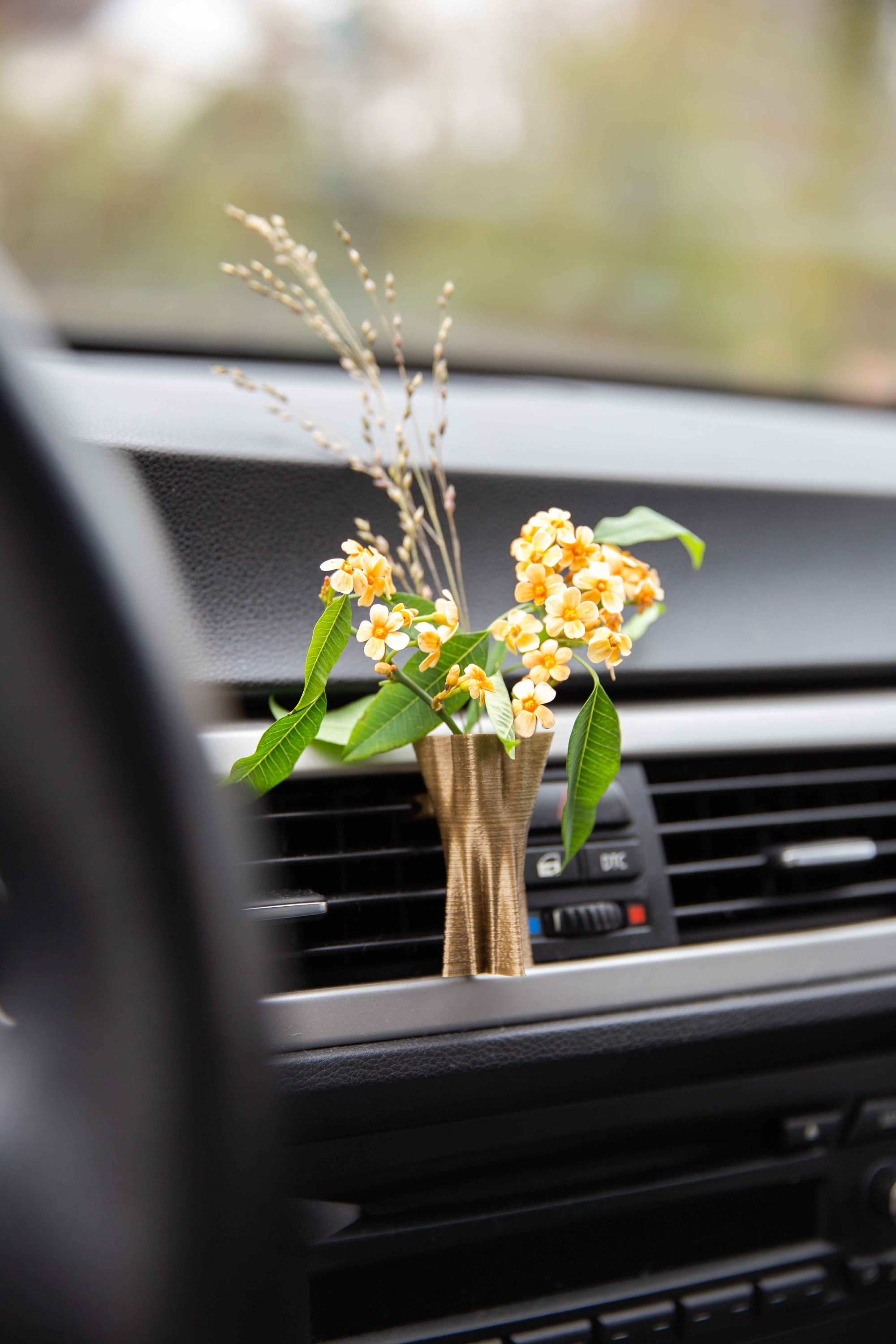 Cardening Car Vase Gemütliches Boho Auto Accessoire für Frauen Natürlicher  Lufterfrischer Vorteile Perfektes Geschenk für Vanlife oder RV-Liebhaber  Epimetheus - .de