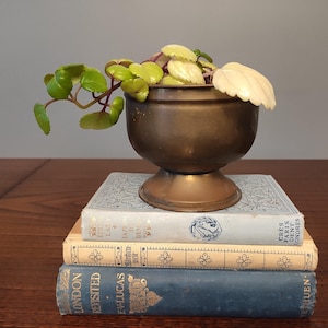May include: A bronze planter with a pedestal base, filled with green and cream foliage, sits on a stack of three antique books. The books are in light blue, cream, and navy blue. The scene is set on a wooden surface.