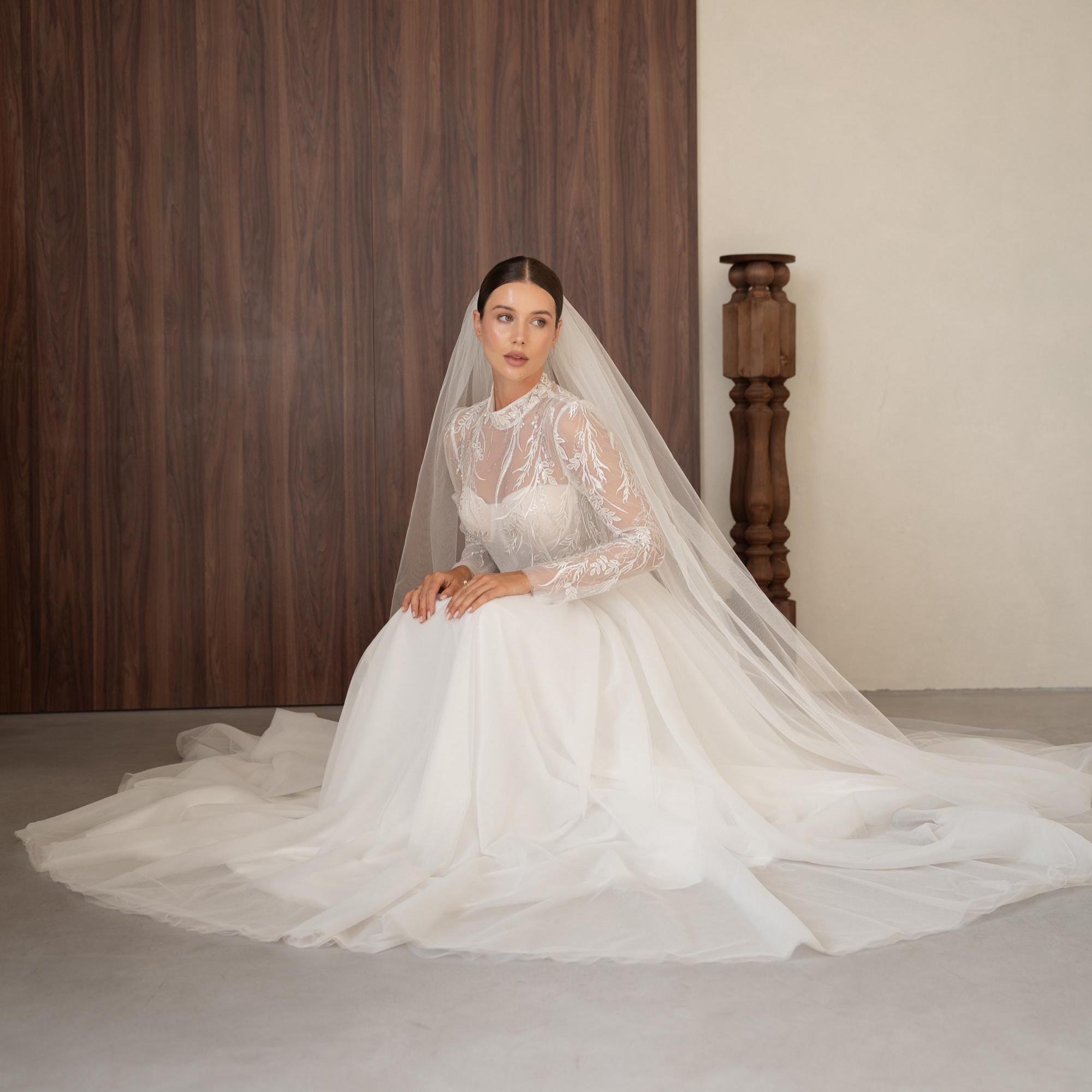 long sleeve lace wedding dress with veil Tulle veil with lace - Brielle
