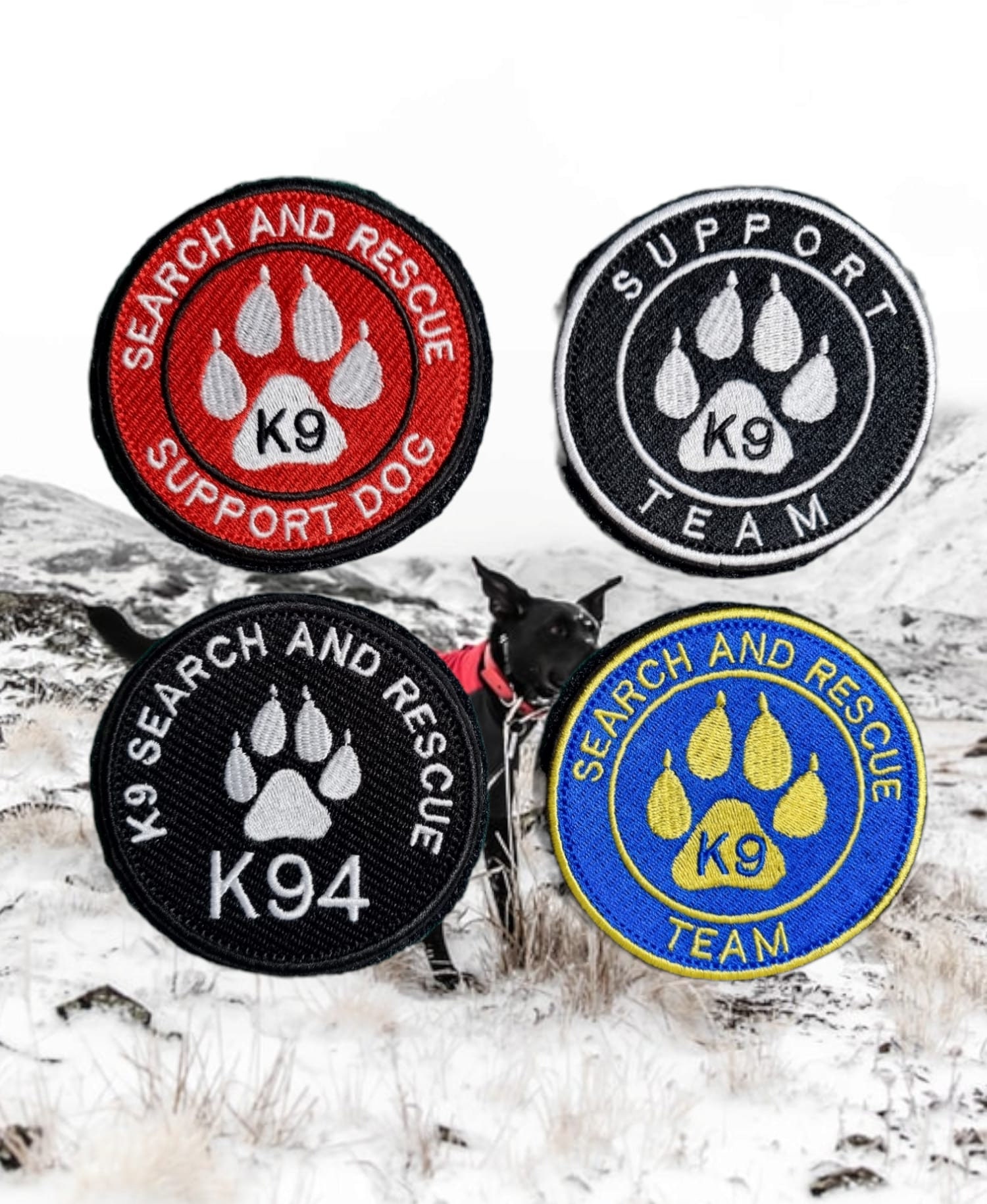 Julius K9 Type Harness Collar Custom Patch Personalised/customised High  Quality. Let Us Make Your Ideas Come to Life on a Patch 