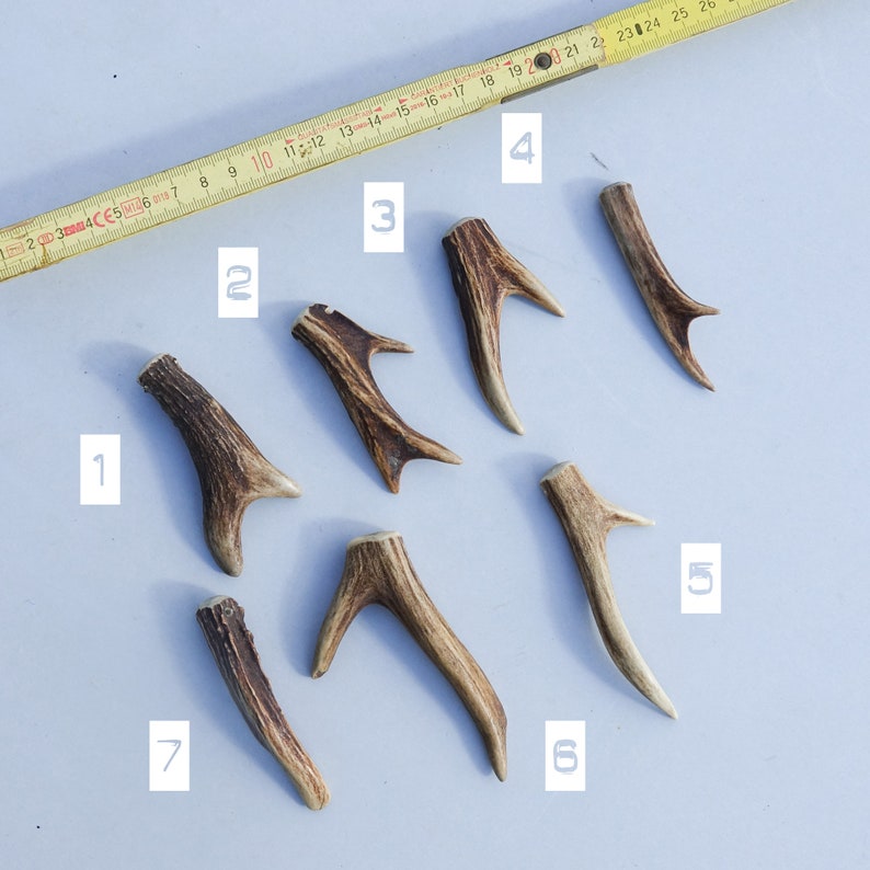 DIY Custom Antler Necklace with 1.5mm hole deer antler pendant custom embellism