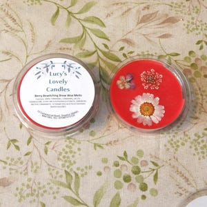 Scented Soy Wax Melts, Handmade Vegan Deli Pot