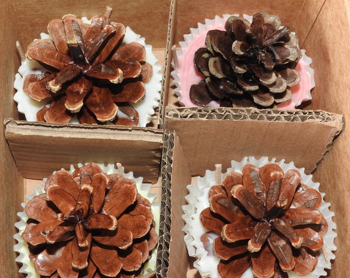 4 Scented Pine Cones, Eco Fire Starters, Eco Soy Wax, Camp Fire Starter