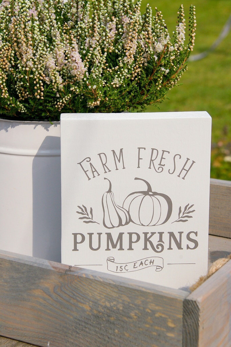 K&ouml;nnte beinhalten: Ein wei&szlig;es Holzschild mit braunem Text, der "Farm Fresh Pumpkins" lautet, mit einer Zeichnung von zwei K&uuml;rbissen und einem Zweig mit Bl&auml;ttern. Unter den K&uuml;rbissen befindet sich ein Banner mit der Aufschrift "15&cent; Each".