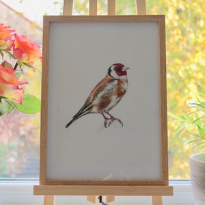 Goldfinch A4 Digital Print from original pencil drawing Garden Birds Series Fine Art Print Illustration Wall Art Bird Print image 2