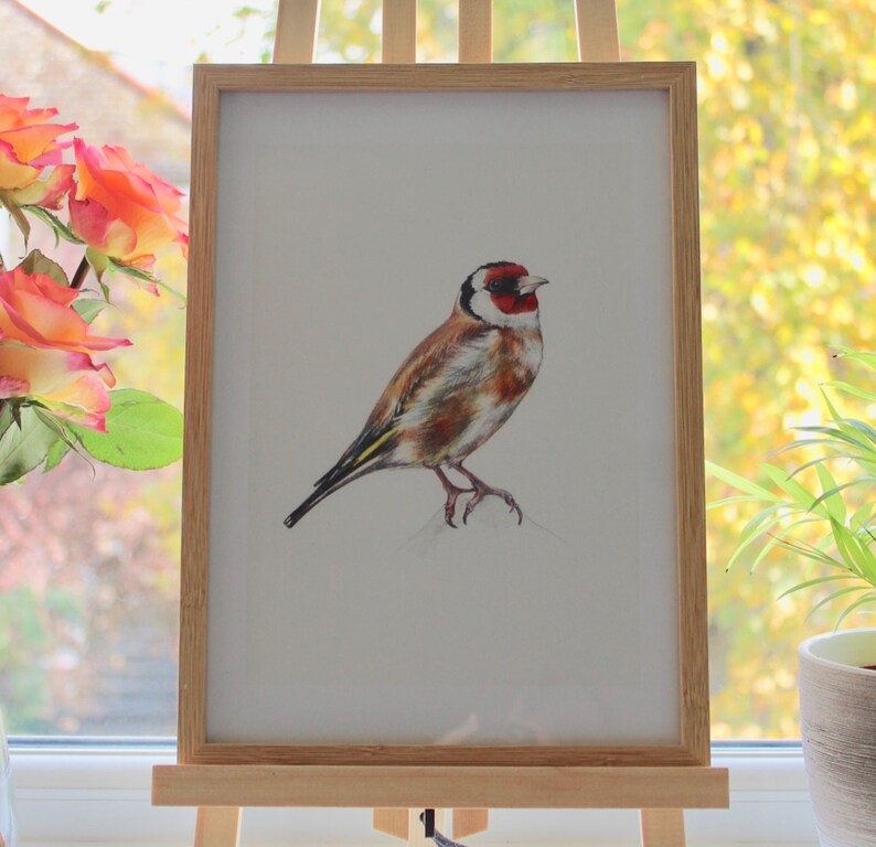 Goldfinch A4 Digital Print from original pencil drawing Garden Birds Series Fine Art Print Illustration Wall Art Bird Print image 2