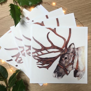 Reindeer Five Pack of Cards / Reindeer Christmas Cards / Reindeer Greetings Cards / Blank Cards / Deer