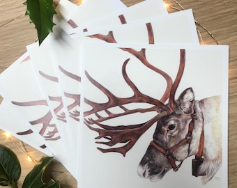 Reindeer Five Pack of Cards / Reindeer Christmas Cards / Reindeer Greetings Cards / Blank Cards / Deer