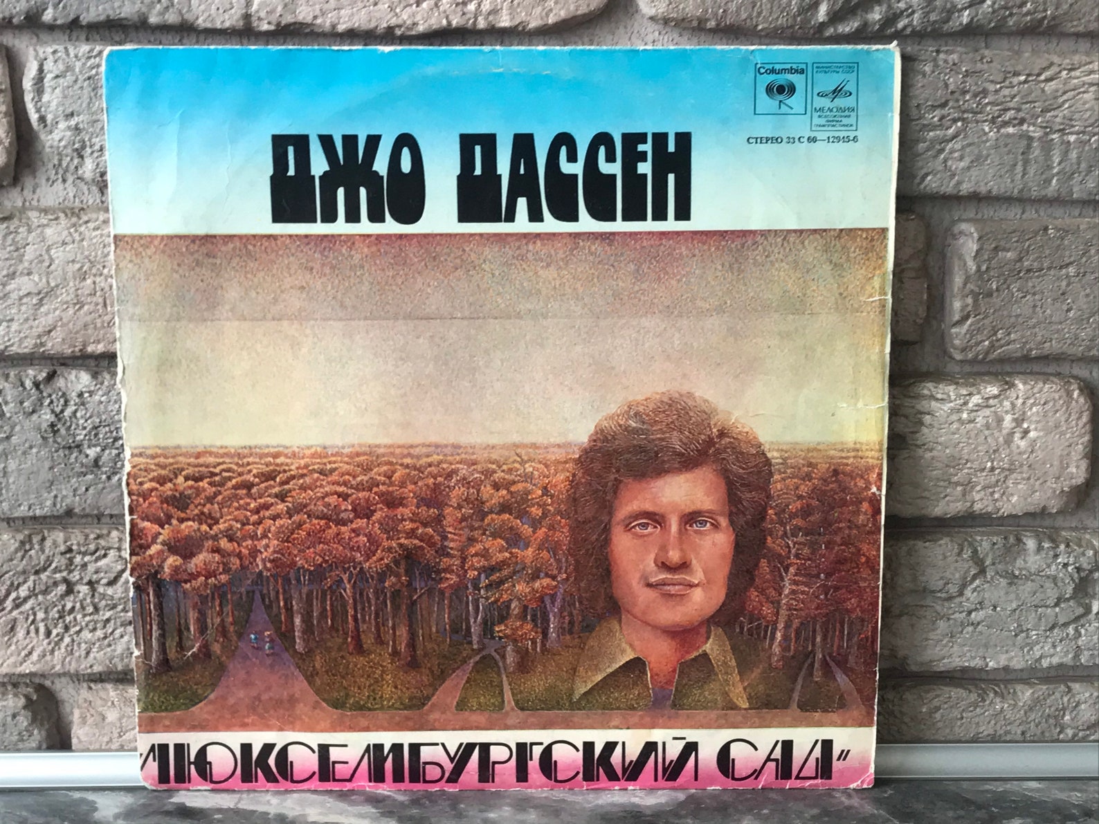 Joe Dassin Le Jardin du Luxembourg 1976 vintage Vinyl Record | Etsy