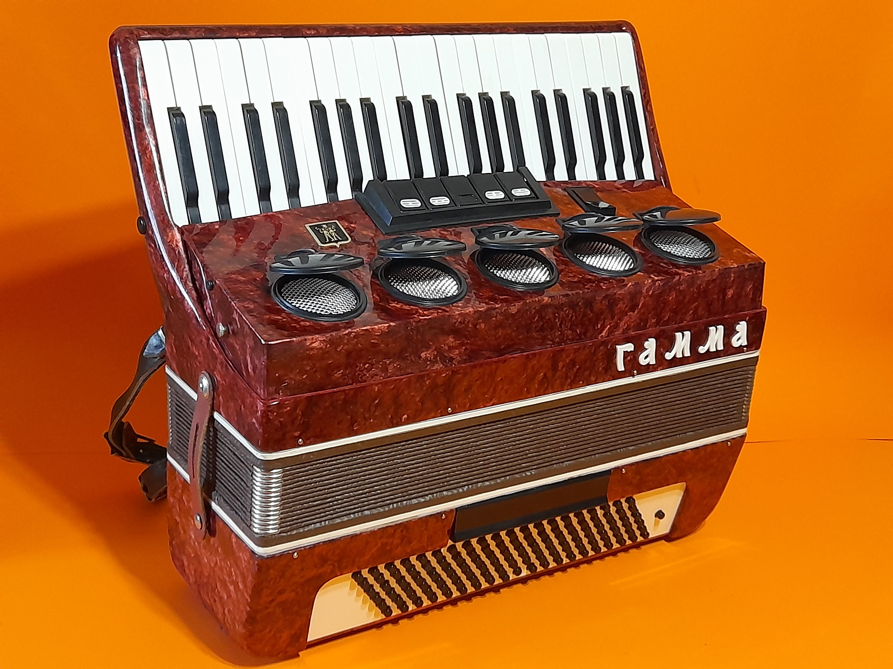 Buy Accordion Gamma 120 Bass 3 voice 5 register Musical