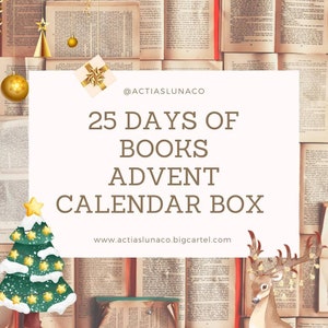 25 Days of Christmas Book Advent Calendar - Fiction - Gift Wrapped - New & Pre-loved books - bookish gifts - gift for book lovers - UK