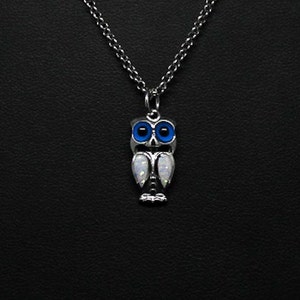 Könnte beinhalten: Halskette mit einem silberfarbenen Eulenanhänger. Die Eule hat blaue Augen und weiße, opalartige Akzente. Die Kette ist dunkel silberfarben, vor schwarzem Hintergrund. Ein schönes Schmuckstück.