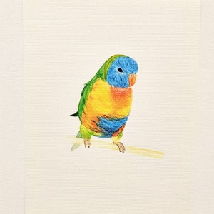 Young Australian rainbow lorikeet, native Australian bird, bird art, parrot wall decor, Australian wildlife, colourful bird, bird print