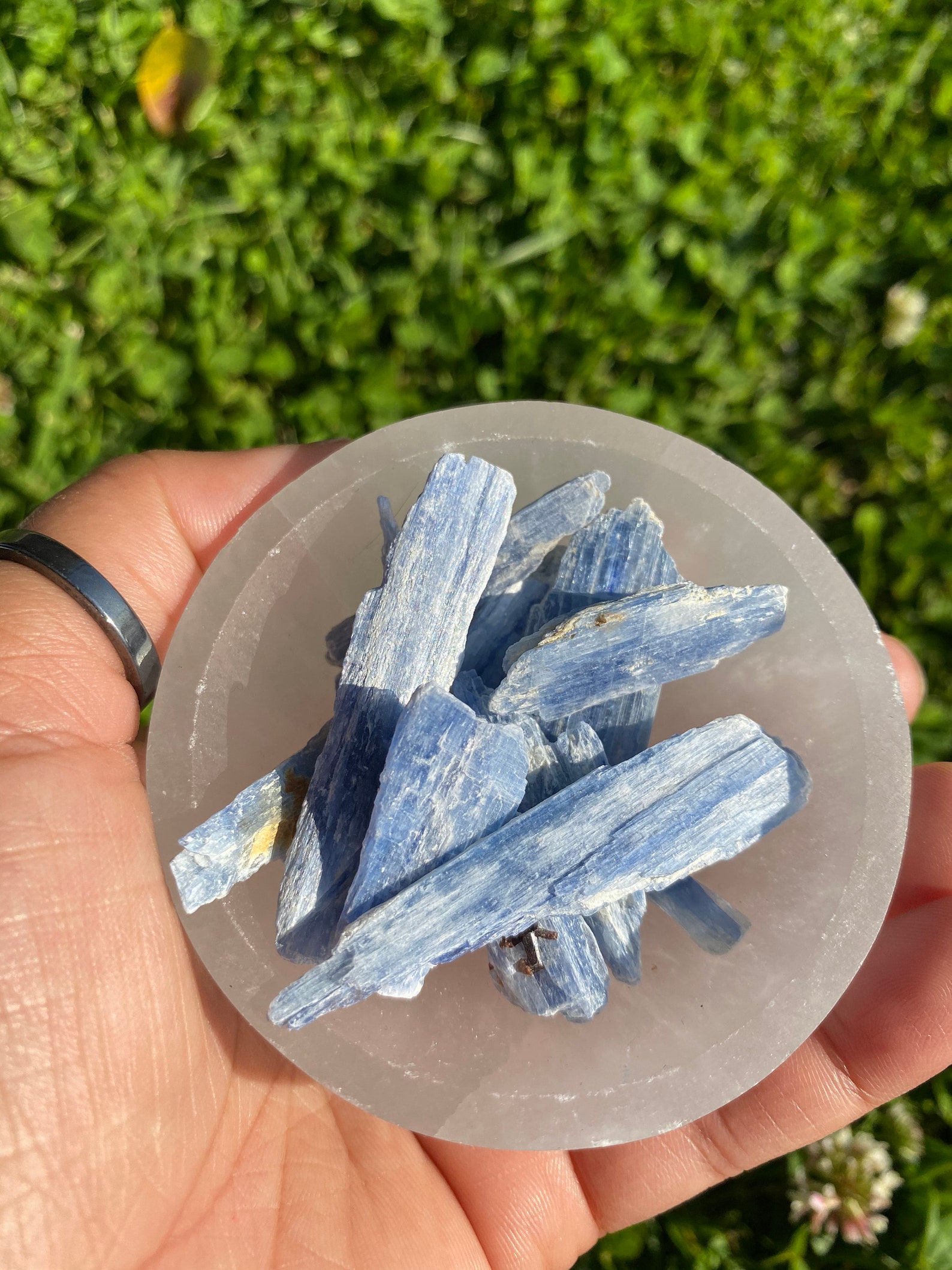 Raw Blue Kyanite Crystals Raw Blue Kyanite Stone Healing Etsy