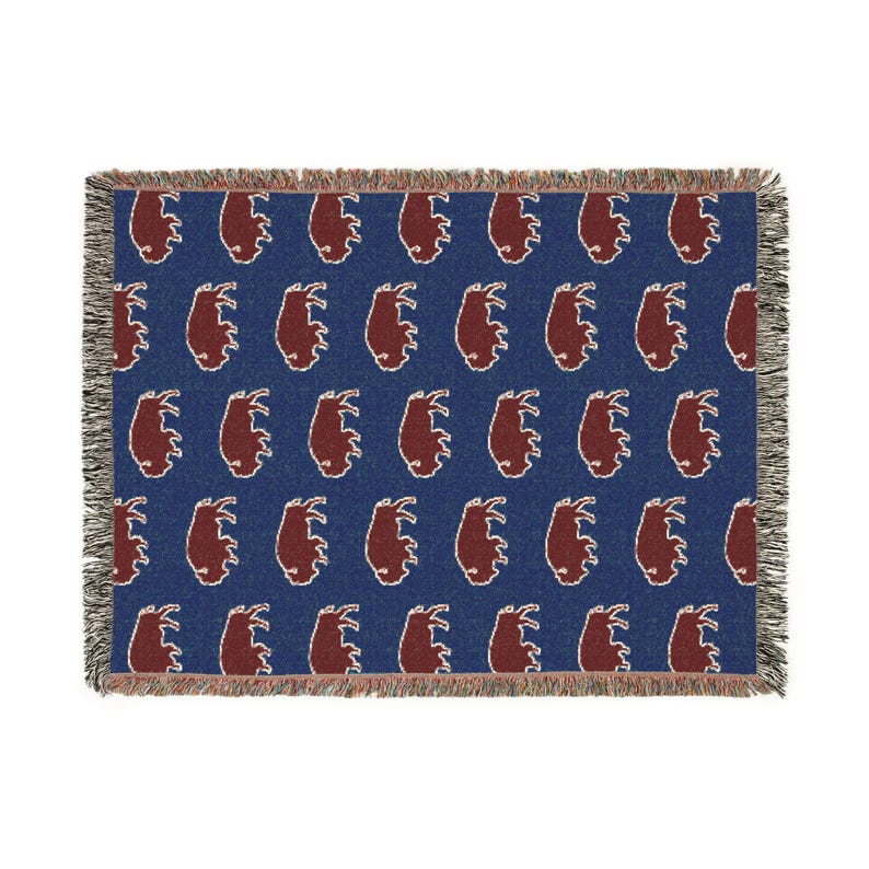Buffalo NY Art Woven Heirloom Blanket image 3