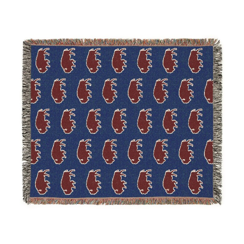 Buffalo NY Art Woven Heirloom Blanket image 2