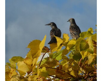 Emocionante (sin encabezado ni pie de página)