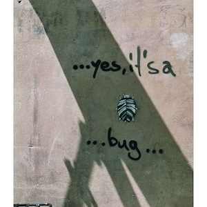 May include: A concrete wall with a shadow cast on it. The wall has black spray paint writing that says "...yes, it's a ...bug..." with a small black and white bug illustration in the middle.