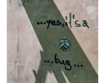 Control de plagas (sin encabezado ni pie de página)