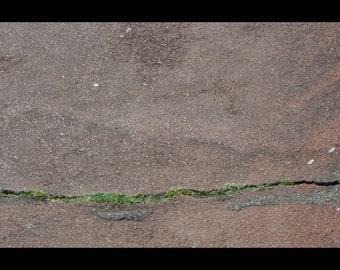 Alteración del pavimento (sin encabezado ni pie de página)