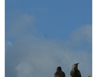 Ohw, gato............ (sin encabezado ni pie de página)