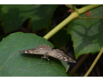 ¿Qué carajo estás mirando? (sin texto)