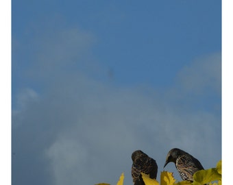 Lo siento (sin encabezado y pie de página)