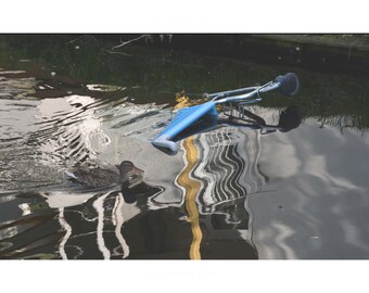 Dándose un baño con los patos