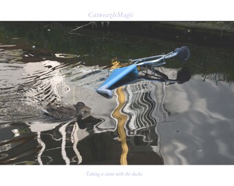 Nadando con los patos (con encabezado y pie de página)