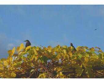 El viaje puede comenzar ahora en cualquier momento (sin encabezado ni pie de página)